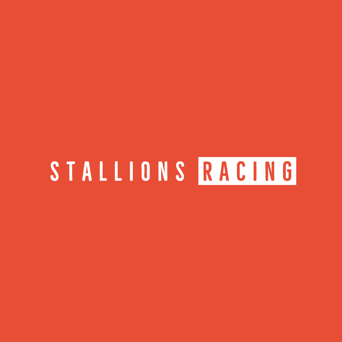Stallions Racing team logo featuring a stylized stallion head and bold typography, representing TheGoldStig’s high-performance racing identity.
